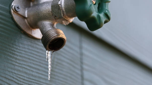 Best Water Softener Installation  in Meadow Glade, WA